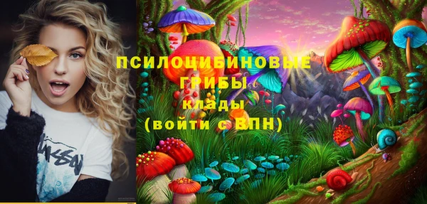 героин Алзамай