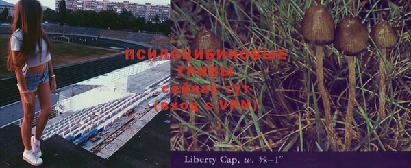 соль ск Алексеевка