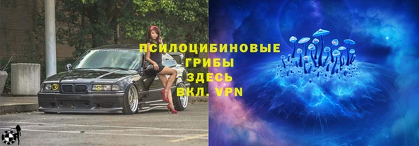 соль ск Алексеевка