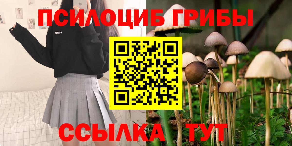 Псилоцибиновые грибы мицелий Учалы